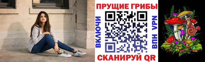 купить наркоту  Собинка  Псилоцибиновые грибы мицелий 